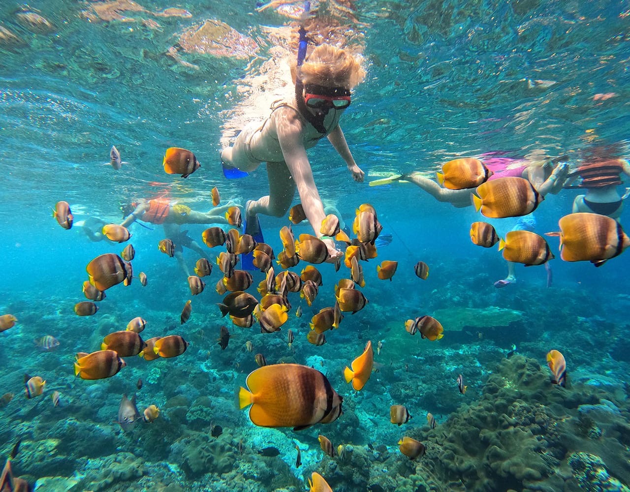 Sanur Sunrise & Nusa Penida Snorkeling with Manta