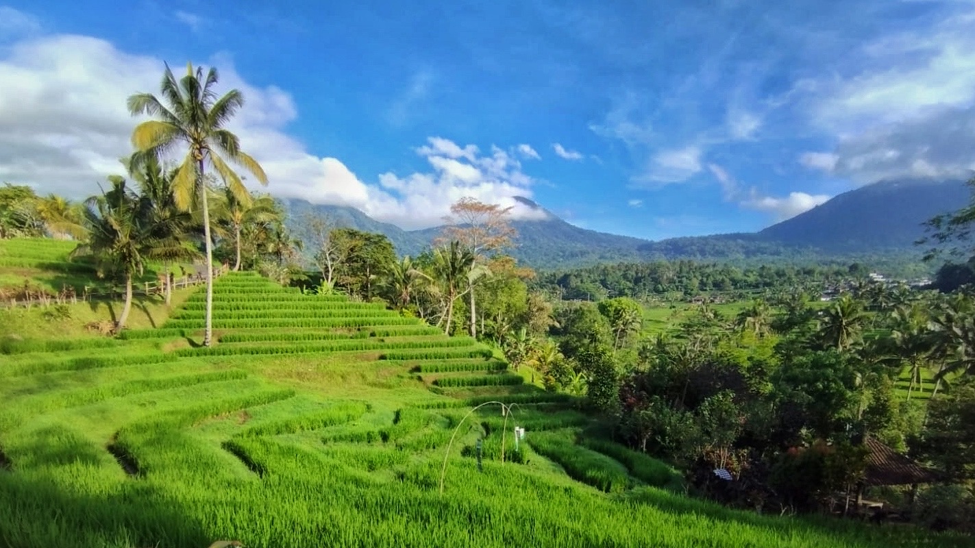 Central Bali Tour